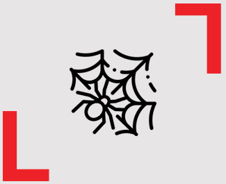Ícone Aranha - Líder Dedetizadora