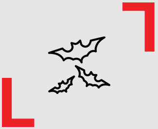 Ícone morcego
