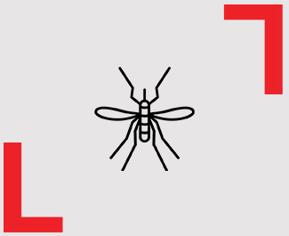 Ícone Mosquito