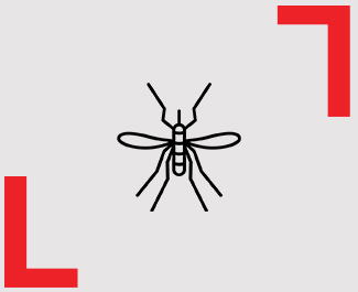 Ícone Mosquito - Líder Dedetizadora