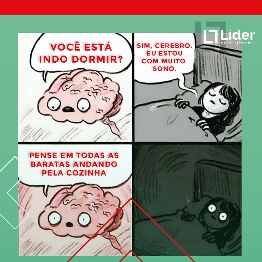 Líder Dedetizadora