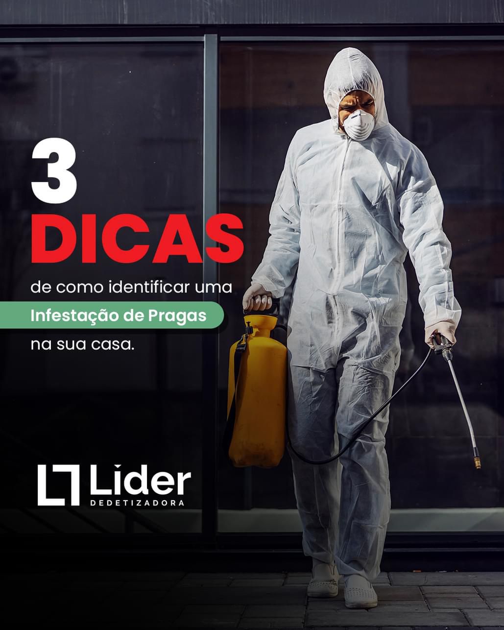 3 DICAS de como identificar uma Infestação de Pragas na sua casa. Leia a notícia Líder Dedetizadora!