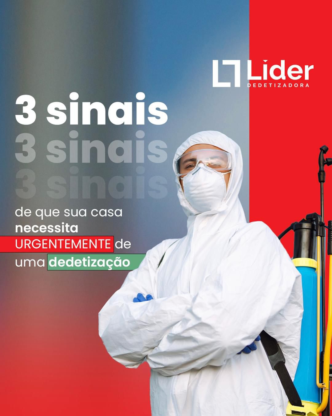 3 sinais de que sua casa necessita URGENTEMENTE de uma dedetização. Leia a notícia Líder Dedetizadora!