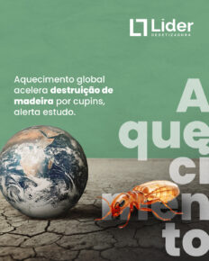 Aquecimento global acelera destruição de madeira por cupins, alerta estudo - Líder Dedetizadora