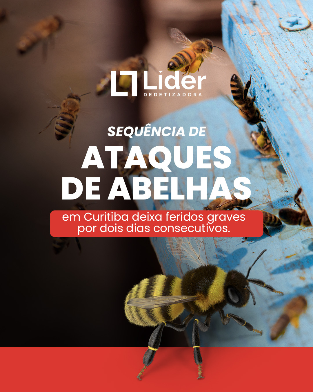 Sequência de Ataque de Abelhas - Líder Dedetizadora