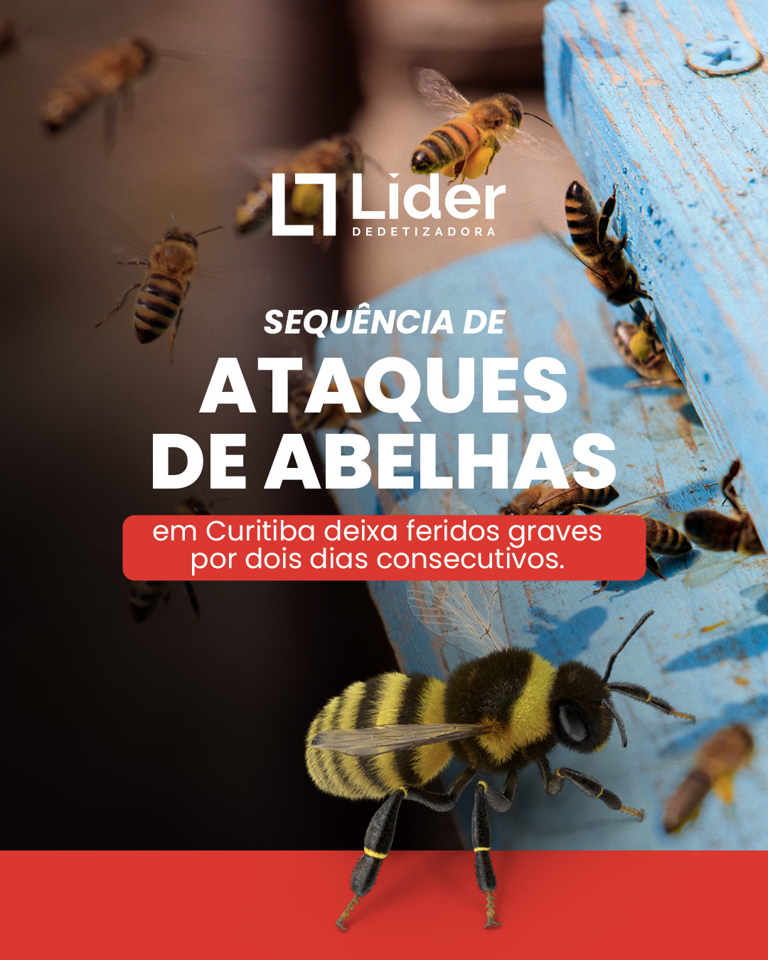 Sequência de Ataque de Abelhas