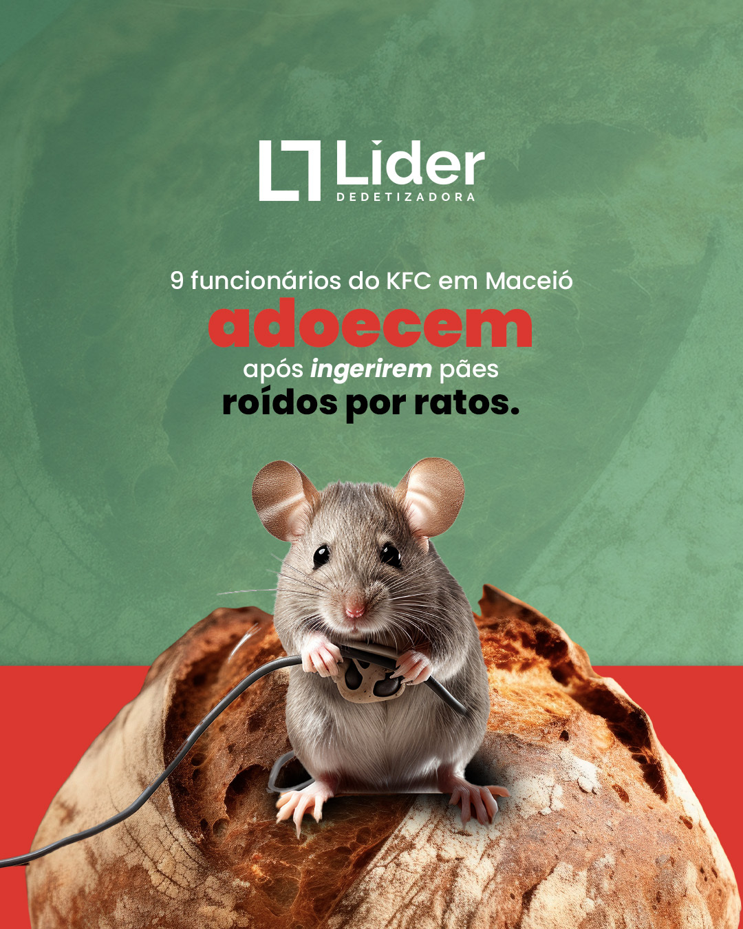 9 Funcionários do KFC adoecem após ingerirem pães roídos por ratos - Líder Dedetizadora