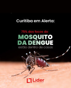 Curitiba em alerta: 75% dos focos do mosquito da dengue estão dentro de casas - Líder Dedetizadora