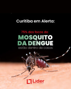 Curitiba em alerta: 75% dos focos do mosquito da dengue estão dentro de casas