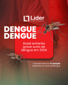 Brasil enfrenta grave surto de dengue em 2024 - Líder Dedetizadora