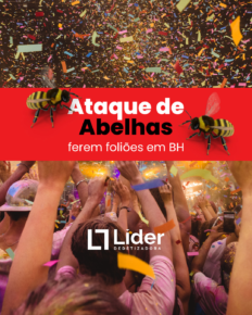 Ataque de abelhas ferem foliões em BH - Líder Dedetizadora