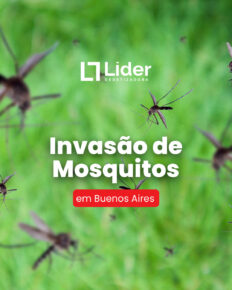 🦟Buenos Aires enfrenta uma infestação massiva de mosquitos!
