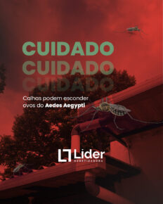 Você sabia que as calhas entupidas podem se tornar verdadeiros criadouros de mosquitos transmissores da dengue? - Líder Dedetizadora