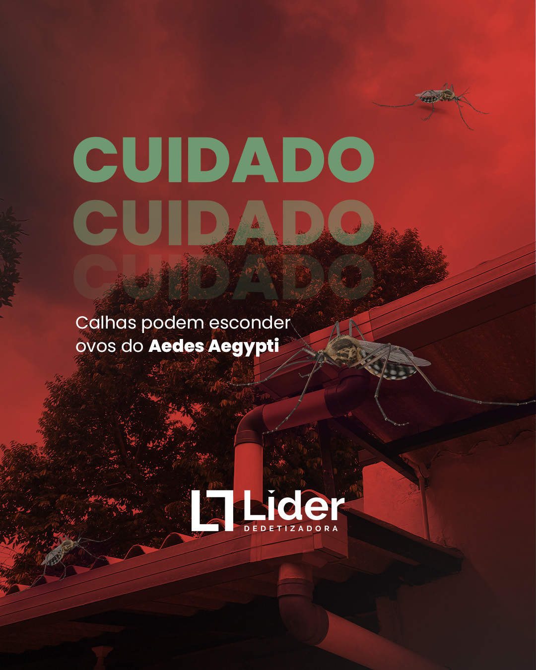 Você sabia que as calhas entupidas podem se tornar verdadeiros criadouros de mosquitos transmissores da dengue? - Líder Dedetizadora