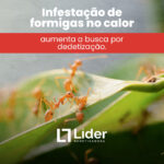 Aumenta a busca por dedetização - Líder Dedetizadora