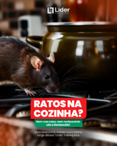 Ratos na cozinha? Isso não é ficção — é um risco real para sua saúde e segurança!