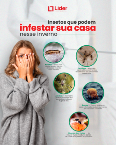 Insetos que Podem Infestar Sua Casa no Inverno (E Como Evitar)