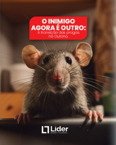 Pragas no outono: por que sua casa fica mais vulnerável nessa estação?