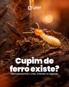 Cupim de ferro existe? Entenda o mito e saiba a verdade