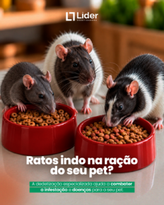 Ratos na ração do seu pet? Saiba como proteger o ambiente contra roedores