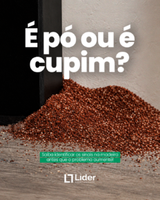 É pó ou é cupim? Saiba como identificar sinais de infestação na madeira